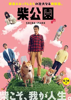 久久精品8