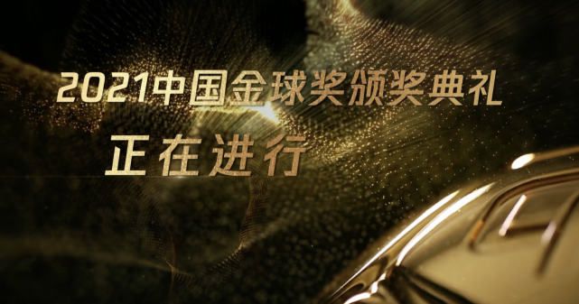 91丝瓜视频最新版