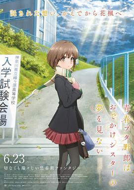 国内久久精品视频