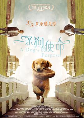 影片发布一组角色剧照，并同步曝光演员阵容，在杭州的湖光山色中，正上演这场关于“爱和美味”的温暖故事。