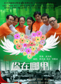 一插菊花网