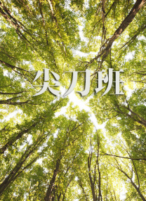 久久久亚洲高清