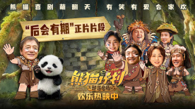 精品国产一区二区三区免费